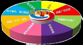 霸屏推广软件的开发与销售 常州网络推广公司的营销策略与技术实践