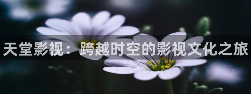 木瓜伦理影院：天堂影视：跨越时空的影视文化之旅