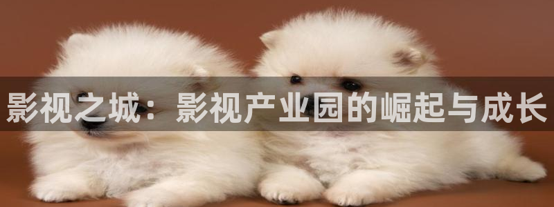 木瓜视频木瓜视频：影视之城：影视产业园的崛起与成长