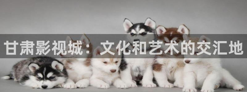 木瓜电影在线：甘肃影视城：文化和艺术的交汇地