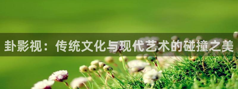 木瓜电影在线播放：卦影视：传统文化与现代艺术的碰撞之美