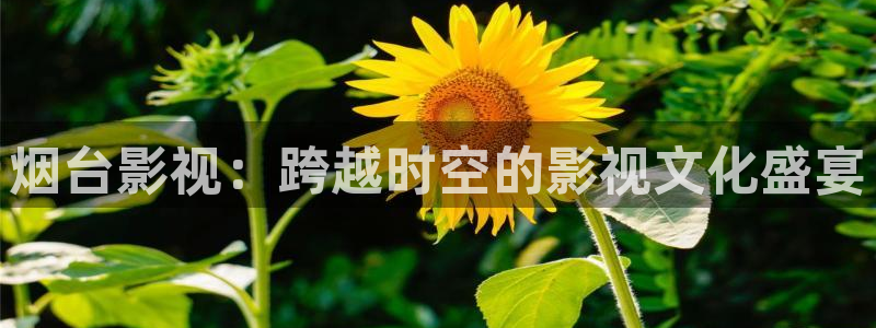 木瓜电影片：烟台影视：跨越时空的影视文化盛宴
