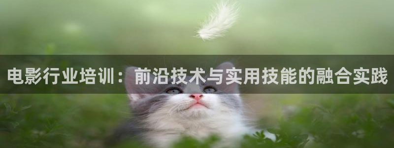 木瓜电影影院：电影行业培训：前沿技术与实用技能的融合实践