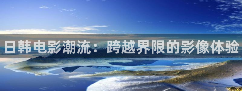 木瓜片的价钱：日韩电影潮流：跨越界限的影像体验