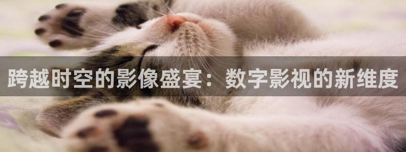 木瓜影院高清影院：跨越时空的影像盛宴：数字影视的新维度