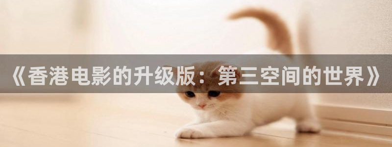 木瓜电影电影大全：《香港电影的升级版：第三空间的世界》