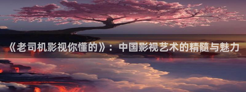 木瓜电影免费：《老司机影视你懂的》：中国影视艺术的精髓与魅力