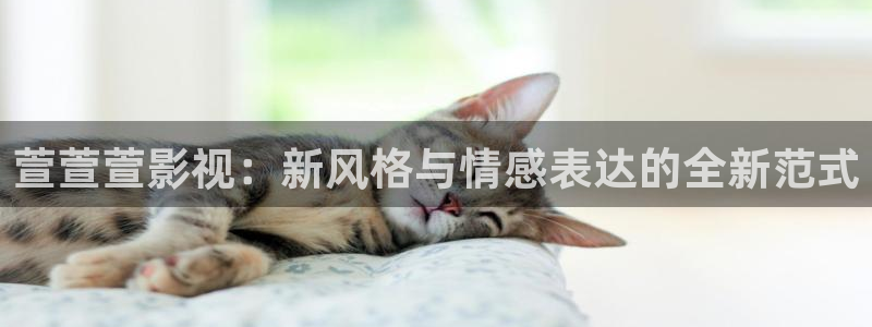 木瓜影视app下载：萱萱萱影视：新风格与情感表达的全新范式