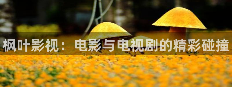 木瓜在线电影：枫叶影视：电影与电视剧的精彩碰撞