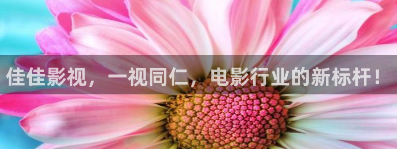 木瓜电影福利网：佳佳影视，一视同仁，电影行业的新标杆！