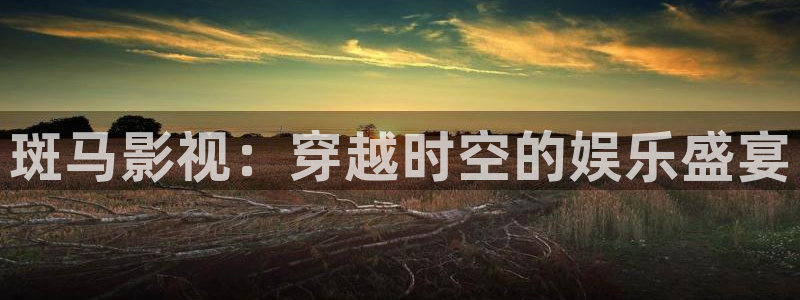 木瓜电影最新最好看的：斑马影视：穿越时空的娱乐盛宴